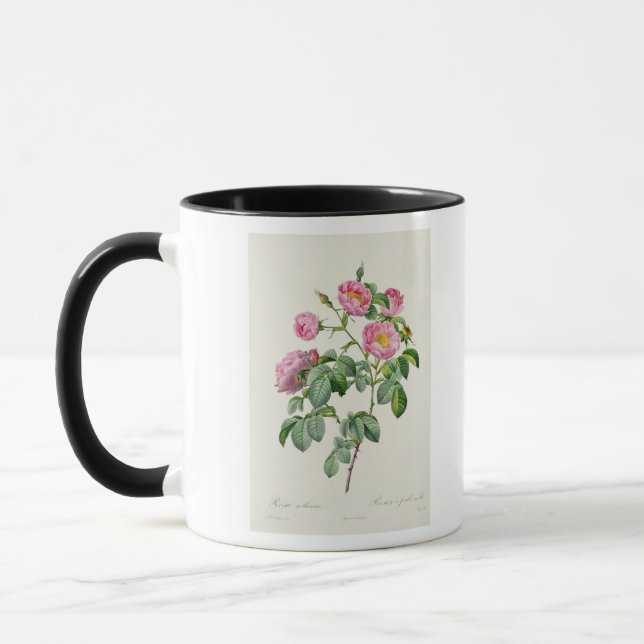 Rosa Mollissima, from 'Les Roses' Mug (Left)