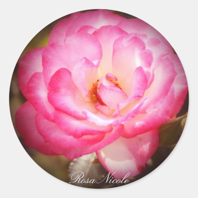 Rosa Nicole Classic Round Sticker (Front)