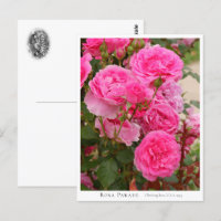 Rosa Parade
