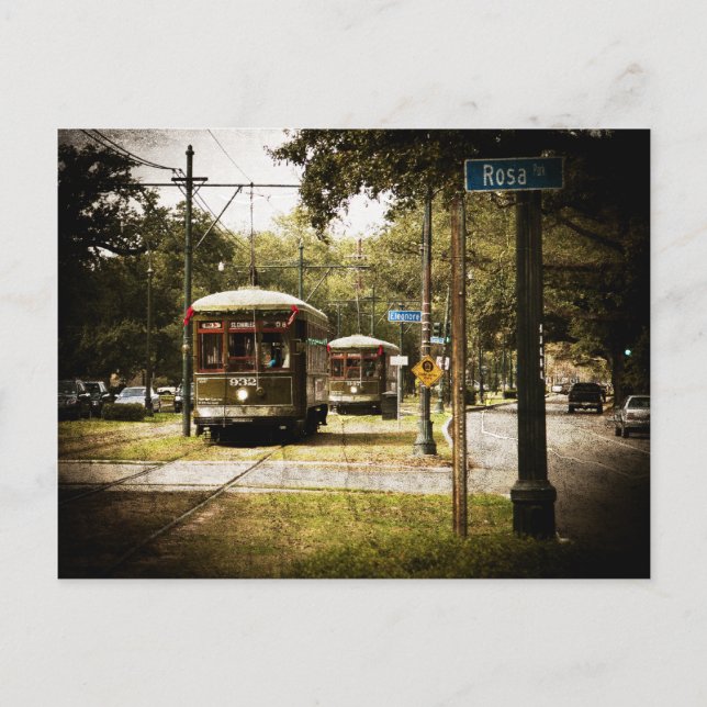 Rosa Park Drive Streetcars Postcard (Front)