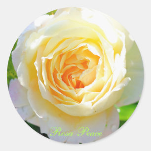 Rosa Peace [Round Seal] Classic Round Sticker