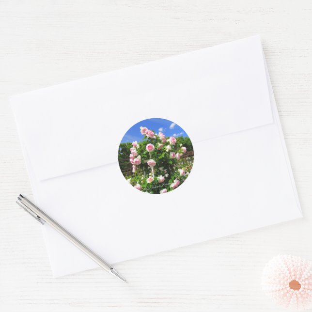 Rosa Pierre de Ronsard: Seal (Envelope)