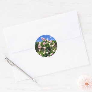 Rosa Pierre de Ronsard:Seal Classic Round Sticker