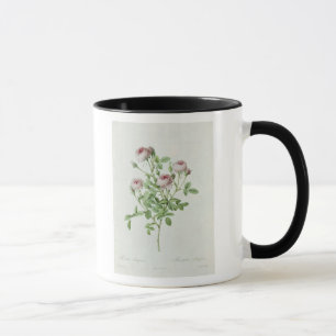 Rosa Pomponia, from 'Les Roses' Mug