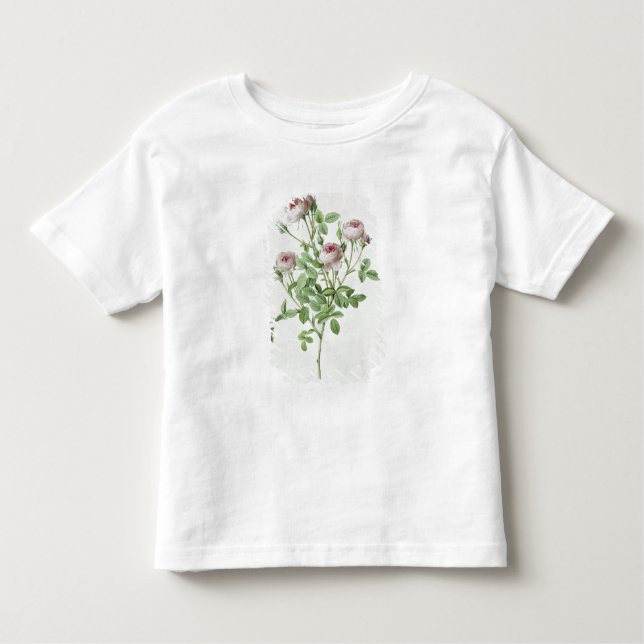 Rosa Pomponia, from 'Les Roses' Toddler T-Shirt (Front)