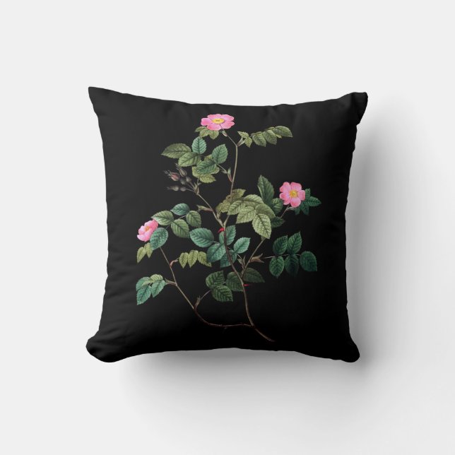 Rosa Rubiginosa Throw Pillow (Front)