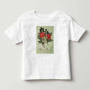 Rosa rugosa, from 'Flora Japonica' Toddler T-Shirt