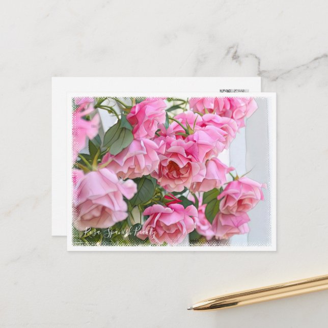 Rosa Spanish Beauty Postcard (Front/Back In Situ)