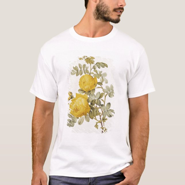 Rosa Sulfurea  from 'Les Roses' T-Shirt (Front)
