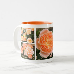Rosa Sunset Memory:Two‐tone Mug