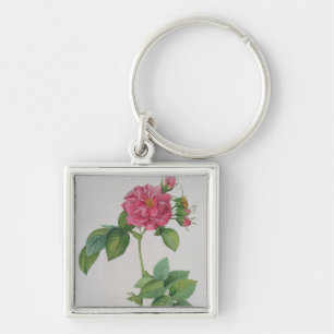 Rosa Turbinata, from ,Les Roses', Vol 1, 1817 Key Ring