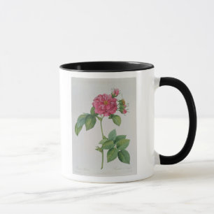 Rosa Turbinata, from ,Les Roses', Vol 1, 1817 Mug