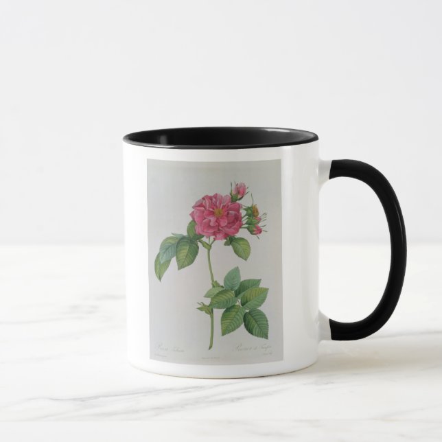 Rosa Turbinata, from ,Les Roses', Vol 1, 1817 Mug (Right)