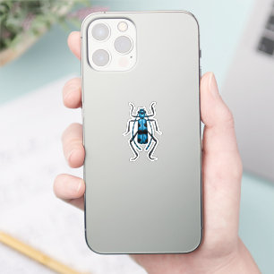 Rosalia Alpina beetle