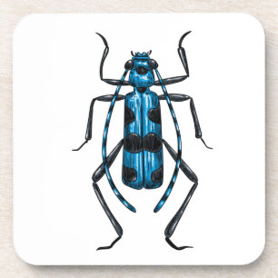 Rosalia Alpina beetle Coaster