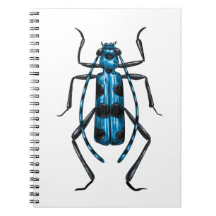 Rosalia Alpina beetle Notebook