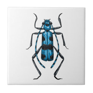 Rosalia Alpina beetle Tile