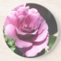 Rosas Moradas 1