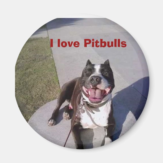 Roscoe's class, I love Pitbulls Magnet (Front)
