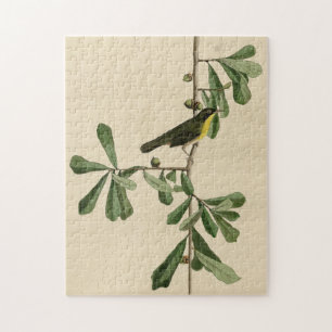 Roscoe's Yellow-throat, Audubon's Birds of America Jigsaw Puzzle