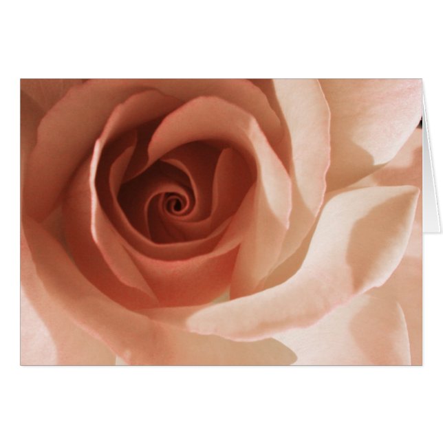 Rose (Front Horizontal)