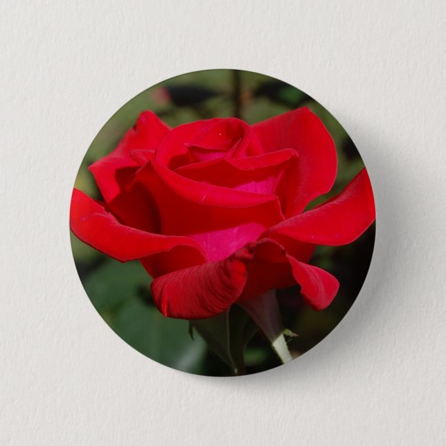 Rose03 6 Cm Round Badge (Front)