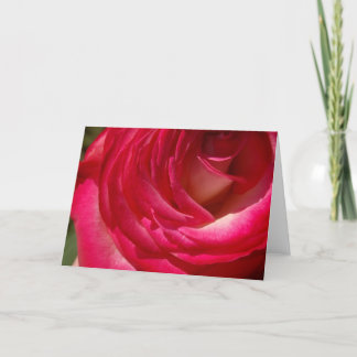 Rose10 Card