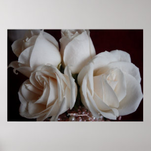 Rose 15 poster
