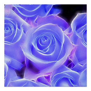Rose 2014-0927 poster