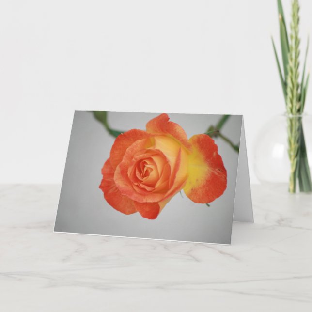 Rose a Fire Card (Front)