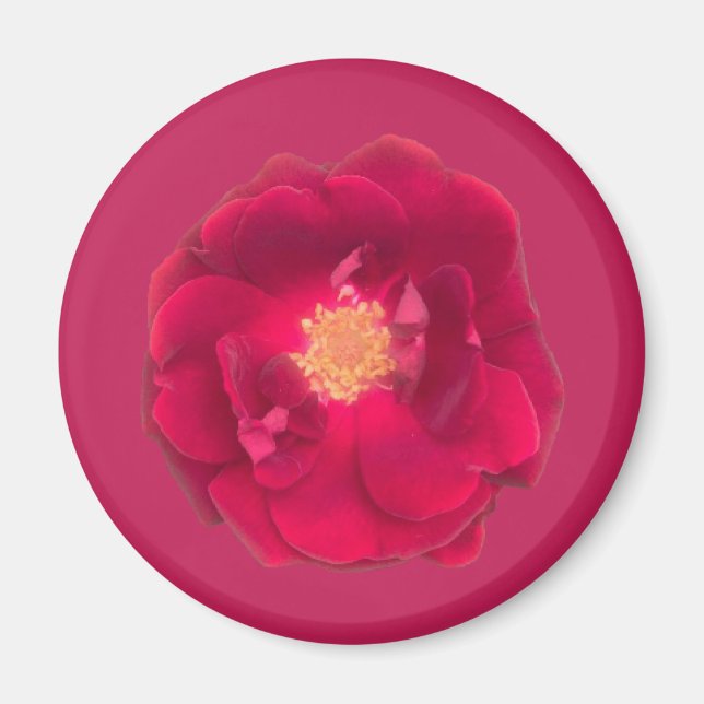 Rose A Magnet (Front)