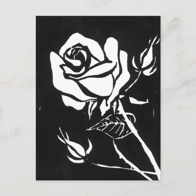 "Rose Alba" Floral Postcard (Front)
