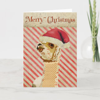 Rose Alpaca Christmas Card