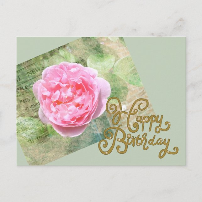 Rose an der Wand Postcard (Front)