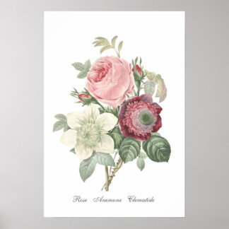Rose and Anemone Poster