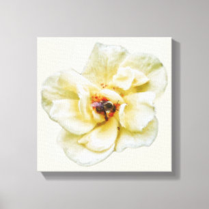 Rose and Bee Canvas Print