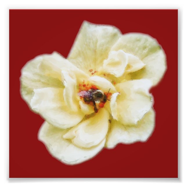 Rose and Bee Photo Print (Front)