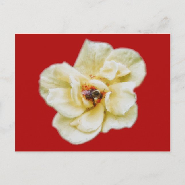 Rose and Bee Postcard (Front)