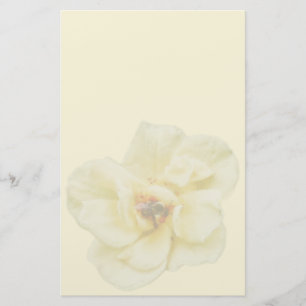 Rose and Bee Stationery