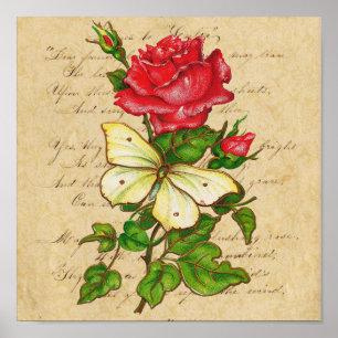 Rose and Butterfly Print