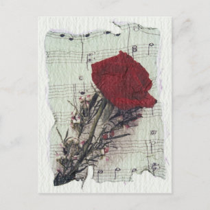 <Rose and Music> by Kim Koza 2 Postcard