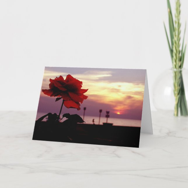 Rose and Sunset Blank Greeting Card (Front)