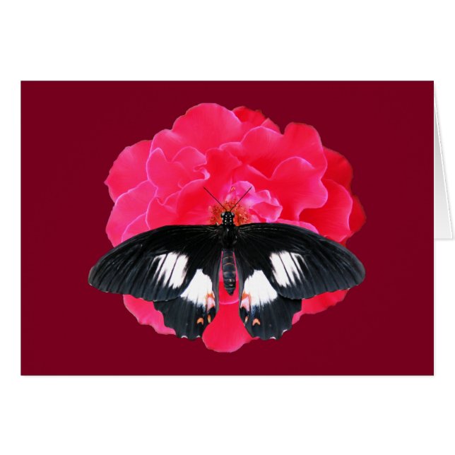 Rose and Swallowtail (Front Horizontal)