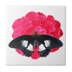 Rose and Swallowtail Tile