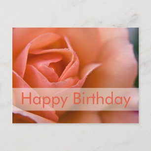 Rose Birthday Postcard   Geburtstagskarte Rose