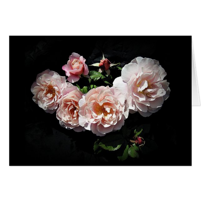 Rose Bloom Smiles Cards By Stan the Roseman (Front Horizontal)