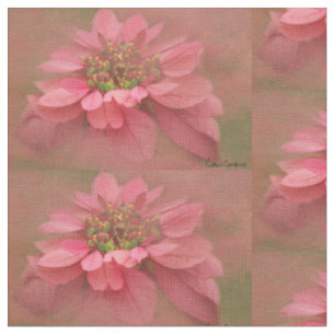 Rose Blush Poinsettias Digital Art Fabric