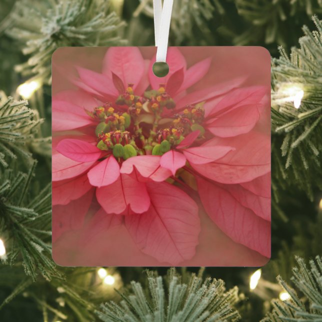 Rose Blush Poinsettias Digital Art Metal Ornament (Insitu)