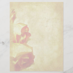 Rose Border Letterhead