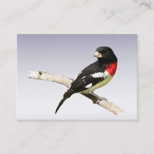 Rose-breasted Grosbeak ATC Business Card